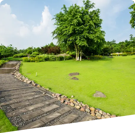 Services - Landscape Design & Installation Seattle