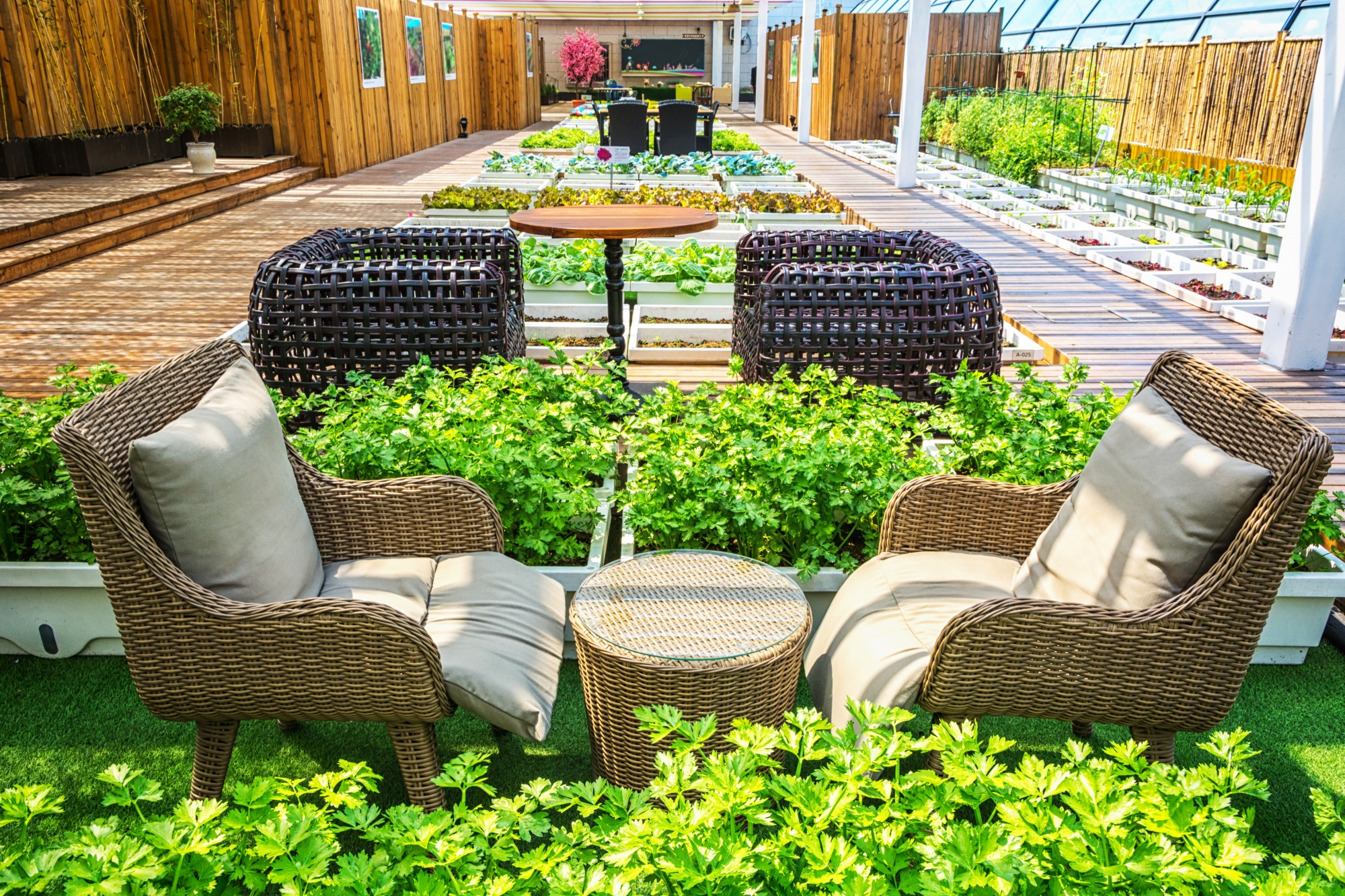 Paver Patios for Seattle Backyards: Design, Drainage & Material Options